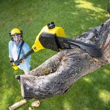 Best Residential Tree Removal  in Budd Lake, NJ